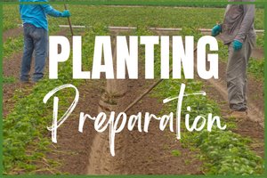 Planting Preparation